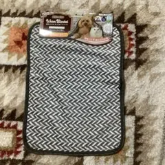 Item thumbnail for item eeda9501-1025-4433-8255-ef4186a99341