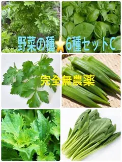 Goshikihiwa414様 リクエスト 2点 まとめ商品