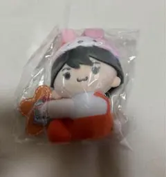 なにわ男子 サンリオコラボぬい 大西流星