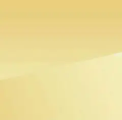 専用
