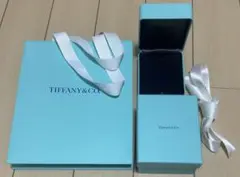Tiffany & Co. ジュエリーボックス　空箱