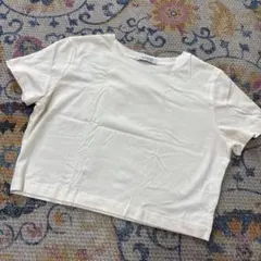 ジーナシスTシャツ Fサイズ