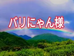 山梨県産 至福の白鳳 新鮮朝採り EM栽培 3kg箱 - メルカリ