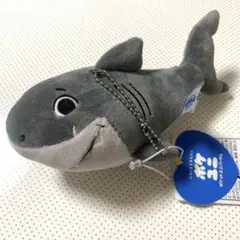 ユニバーサル ポケユニ サメ ぬいぐるみ マスコット