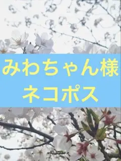 農家直送新鮮野菜きゅうり