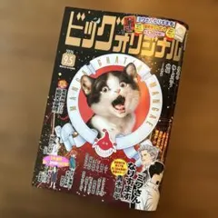 ビッグコミックオリジナル　No.17