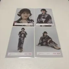 櫻坂46 生写真 2025年浴衣 向井純葉 コンプ