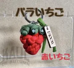 【パラいちご 選べる文字】赤いちご