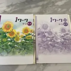 iワーク 中2 数学 iワークプラス中2数学　セット　まとめ