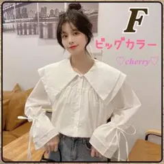 ブラウス ビッグ襟 カラー レディース おしゃれ 大人かわいい フリーサイズ