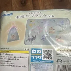 イーブイ プレミアム巾着付ブランケット