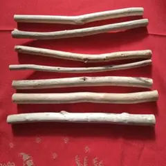 Item thumbnail for item 4e06e2a4-fa9a-4d73-a728-d397f8c64f7e