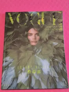 VOGUE 2025年特別版
