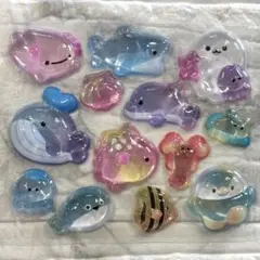 うるちゅる　シール　おすそ分け　海　水族館