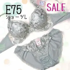 E75フェミニンローズ（グリーン）♥️ブラジャーショーツセット♥️エメフィール系