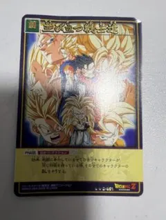 ドラゴンボール Z ドラゴンボール カード 並び立つ戦士達 D-851 - メルカリ