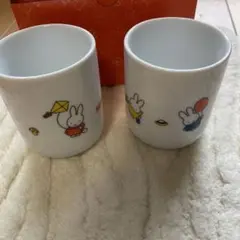 Item thumbnail for item f854c54d-9e9d-497e-bef5-6ee8ef053bd8