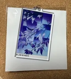TSUTAYA 怪獣8号 アクリルキーホルダー 保科宗四郎 京都 IP書店 蔦屋