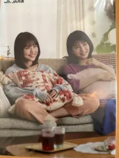 有村架純、浜辺美波　クリアファイルのサムネイル