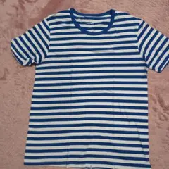 BODY WILD ストライプ Tシャツ Lサイズ