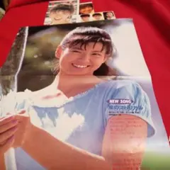 南野陽子 アイドル