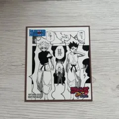 ジャンプフェア 2025 ミニ色紙 HUNTER × HUNTER