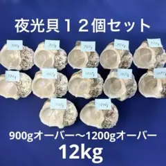 70827871_3