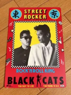 ブラックキャッツポスターお値下げ承ります^_^ ブラックキャッツポスターお値下げ承ります^_^ ブラックキャッツ