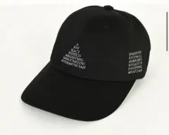 新品タグ付✨LAD MUSICIAN刺繍ロゴ 黒キャップ 2025年最新】LAD MUSICIAN メンズ キャップの人気アイテム