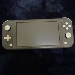 NintendoSwitchLight グレー本体 ジャンク