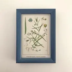 2026年最新】リトグラフの人気アイテム - メルカリ