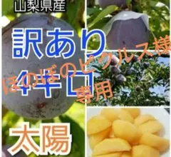 ほのぼのピクルス様専用キャンセルの件ご了承ありがとうございます。
