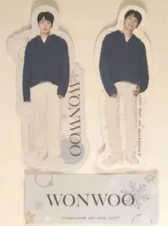 SEVENTEEN 一番くじ ステッカー ウォヌ