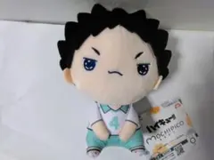 ハイキュー!!もちぴこぬいぐるみ 岩泉一　新品未使用