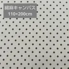 Item thumbnail for item b4aa9fe0-dbf6-4783-83b6-96461d9a7ff3