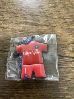 町田ゼルビア ゼルガチャ 谷晃生
