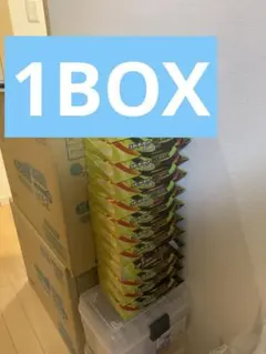 ポケカ スターターセットMEGA メガゲンガーex 新品