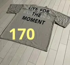 ベージュ Tシャツ 170 限定⭐︎