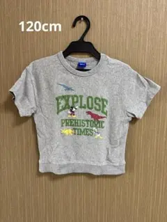 ミッキー ドナルド 恐竜 Tシャツ グレー