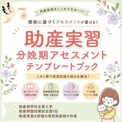 【助産実習】分娩期アセスメントテンプレートブック|助産学生|助産実習|助産学校 助産実習】分娩期アセスメントテンプレートブック|助産学生|助産実習