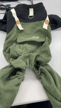 Item thumbnail for item 949c47c3-d44c-4249-a554-94d3854d15f9