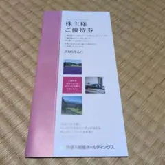 株主優待券 2025年6月発行(500株未満)