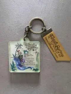 DISNEY ピーターパン アクリルキーホルダー