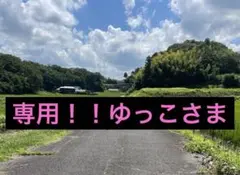 ゆっこさま　専用