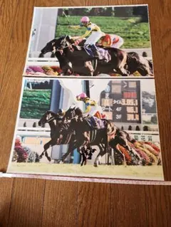 競馬：ヤマニンゼファー「1993年第108回天皇賞・秋」パネル２枚＋スカーフ１枚 競馬：ヤマニンゼファー「1993年第108回天皇賞・秋」パネル2枚＋