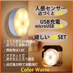 人感LEDセンサーライト 暖色 自動点灯 消灯 2個Set