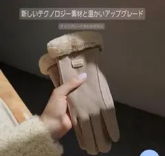 手袋 レディース グローブ 防寒 防風 保温 スマホ対応 裏起毛 黒色　ベージュ