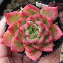 まややん様 リクエスト 3点 まとめ商品　同梱割引100円