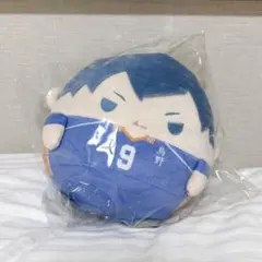 ハイキュー！！ くじメイト ぬいくじ ふわコロりん Msize C賞 影山飛雄
