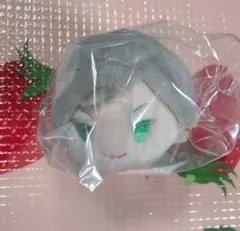 はるか様 リクエスト 2点 まとめ商品